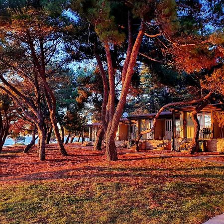 Family Bungalow Pineta Novigrad Istria Exterior foto