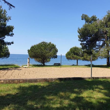 Family Bungalow Pineta Novigrad Istria Exterior foto