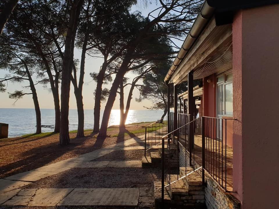 Family Bungalow Pineta Novigrad Istria Exterior foto