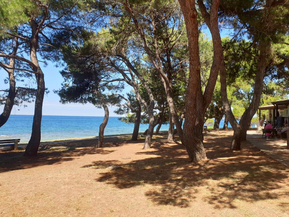 Family Bungalow Pineta Novigrad Istria Exterior foto