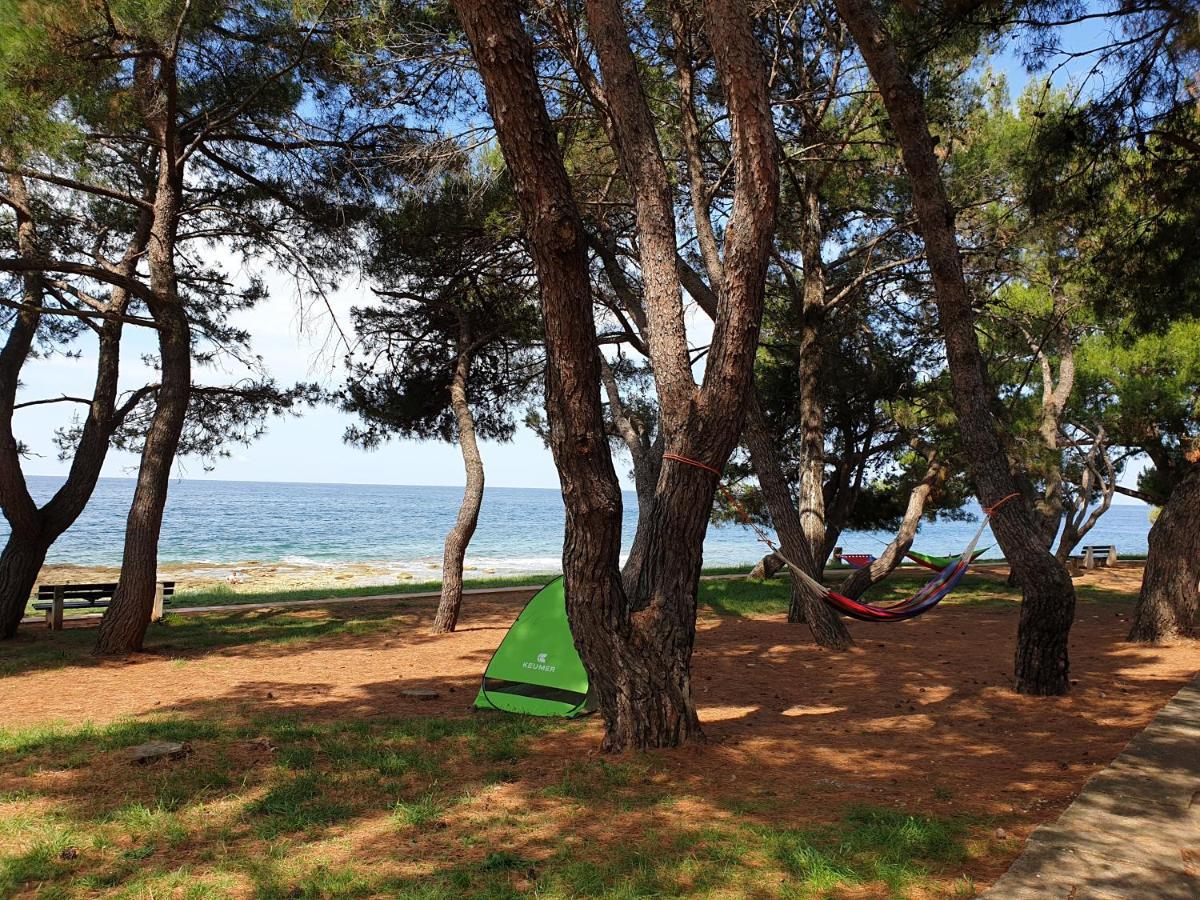 Family Bungalow Pineta Novigrad Istria Exterior foto