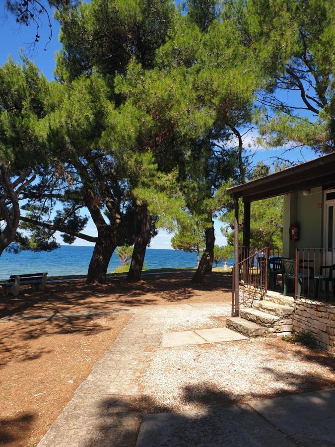 Family Bungalow Pineta Novigrad Istria Exterior foto