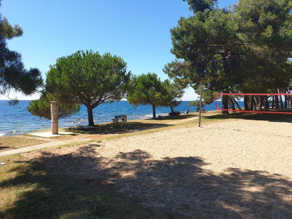 Family Bungalow Pineta Novigrad Istria Exterior foto