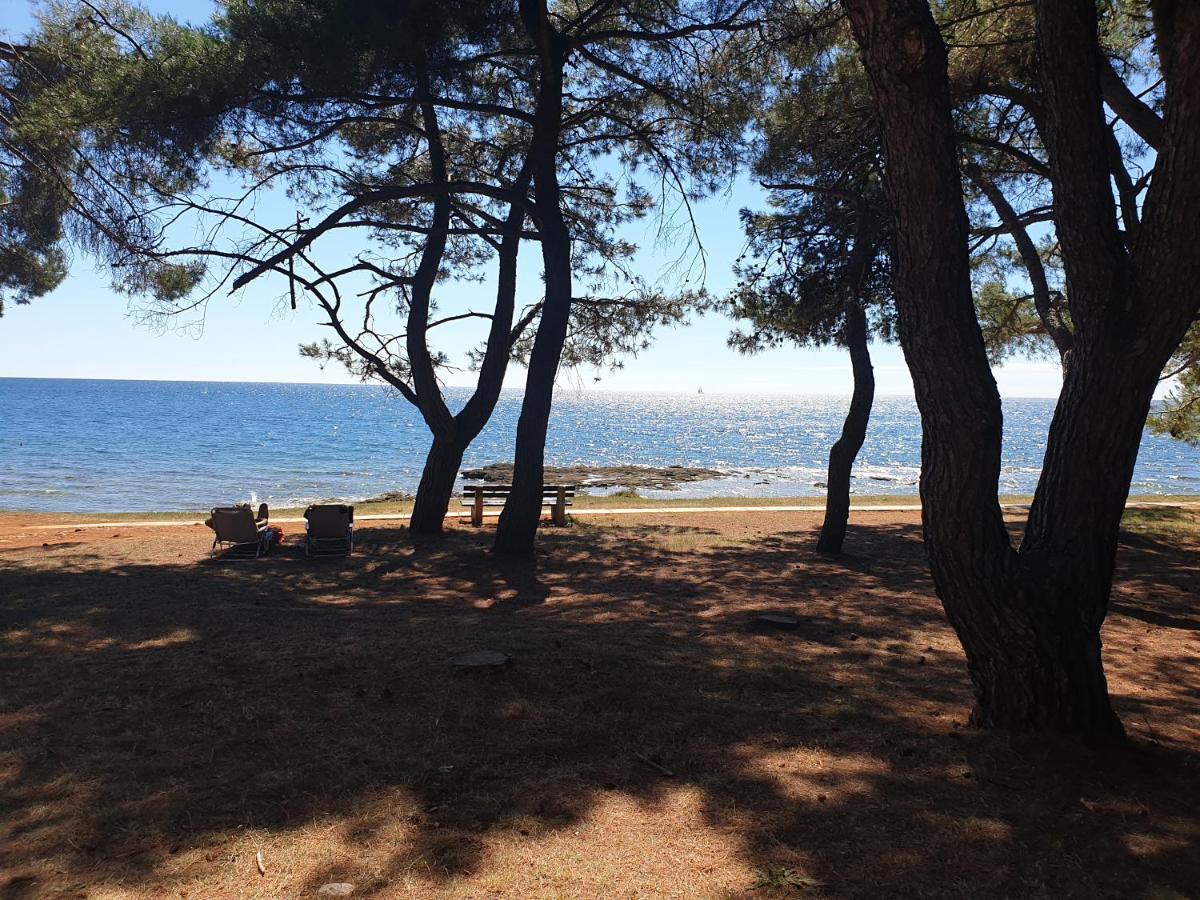 Family Bungalow Pineta Novigrad Istria Exterior foto