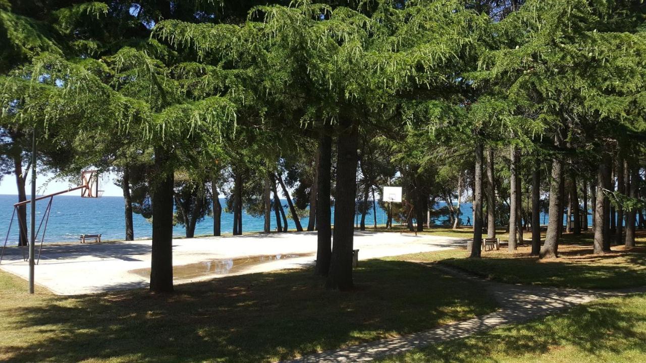 Family Bungalow Pineta Novigrad Istria Exterior foto