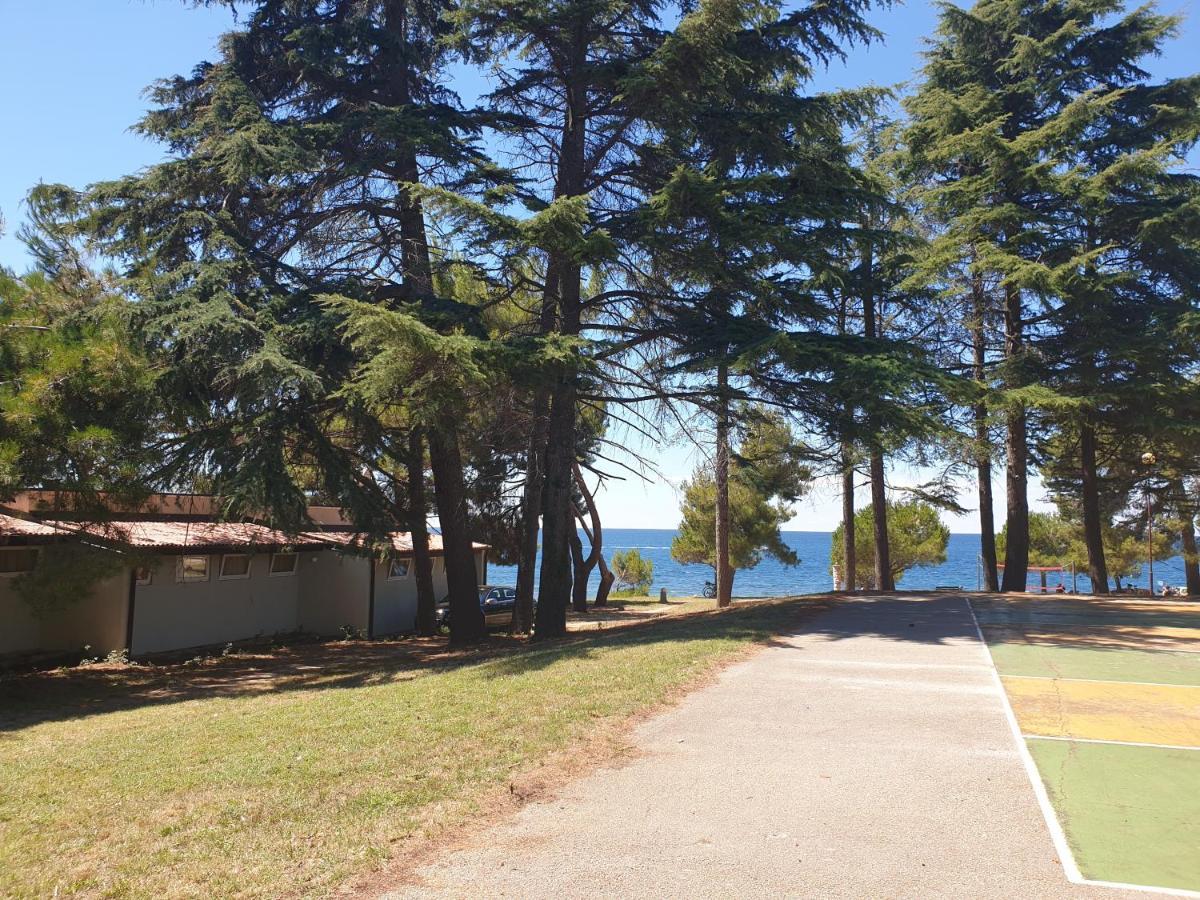 Family Bungalow Pineta Novigrad Istria Exterior foto