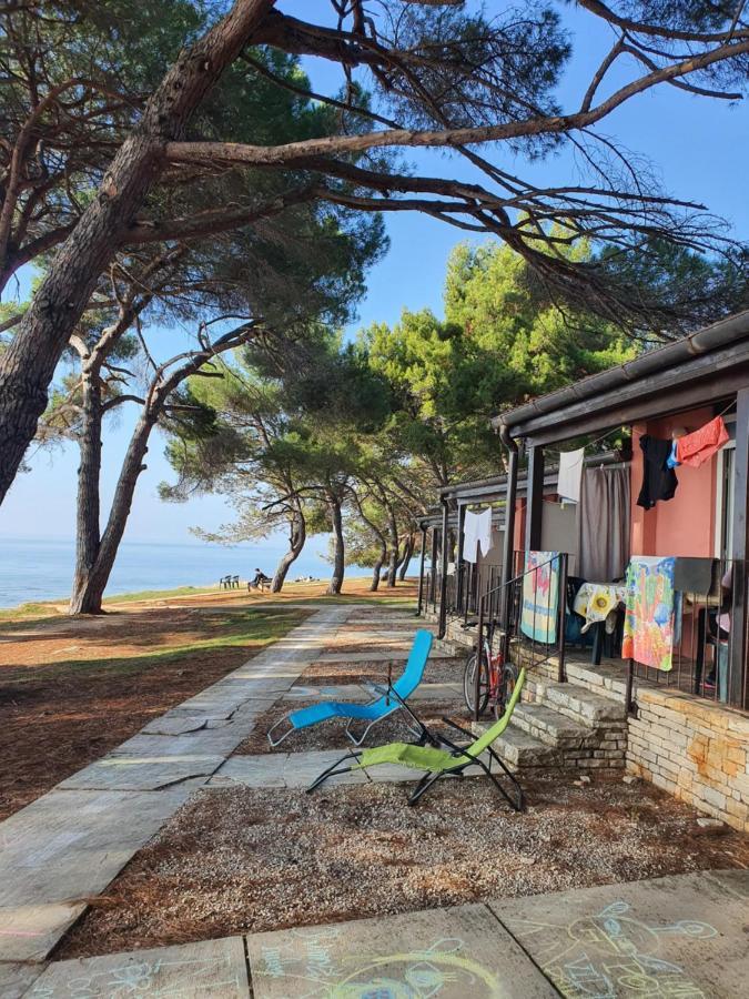 Family Bungalow Pineta Novigrad Istria Exterior foto