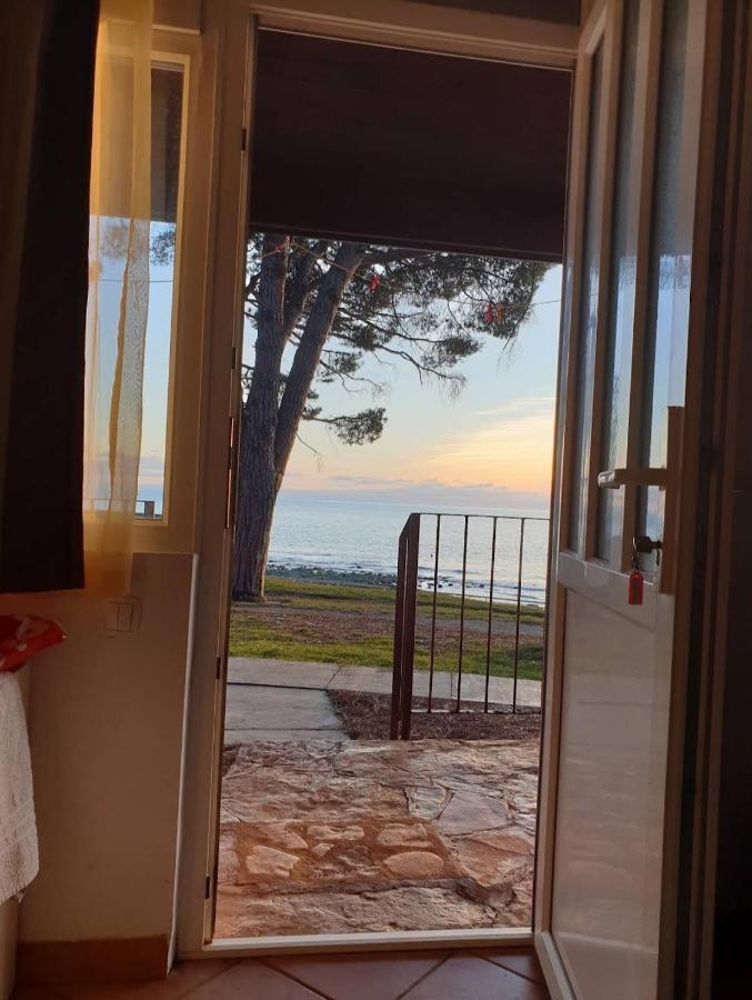 Family Bungalow Pineta Novigrad Istria Exterior foto