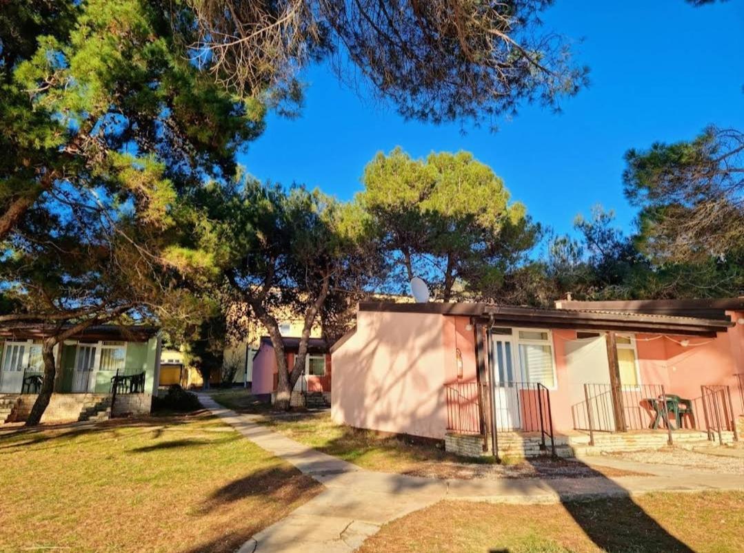 Family Bungalow Pineta Novigrad Istria Exterior foto