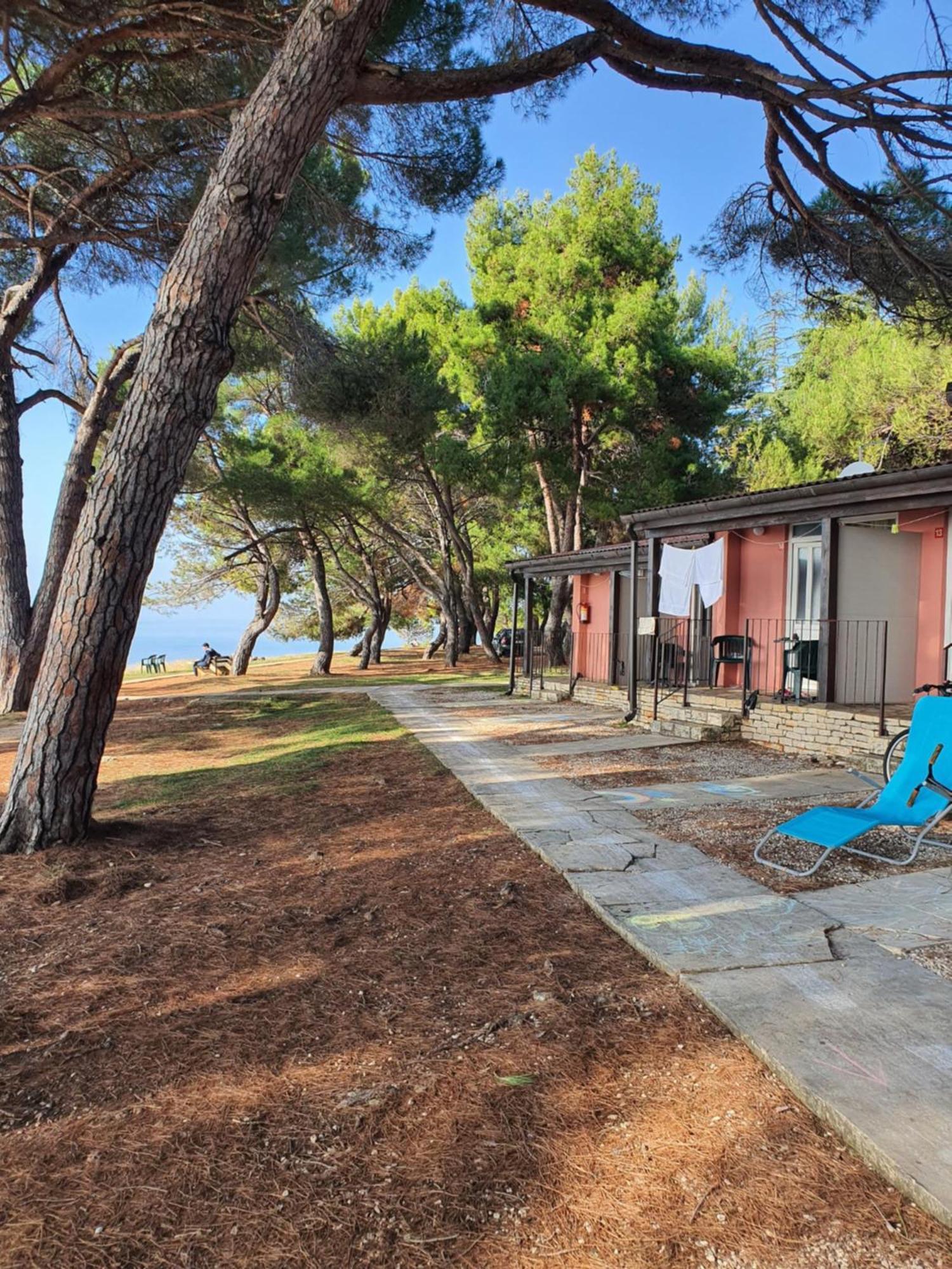 Family Bungalow Pineta Novigrad Istria Exterior foto