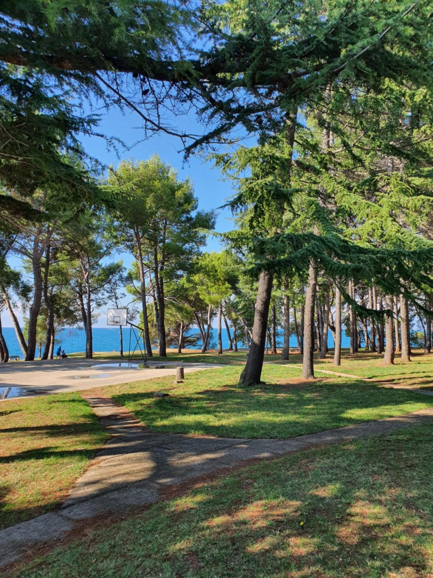 Family Bungalow Pineta Novigrad Istria Exterior foto