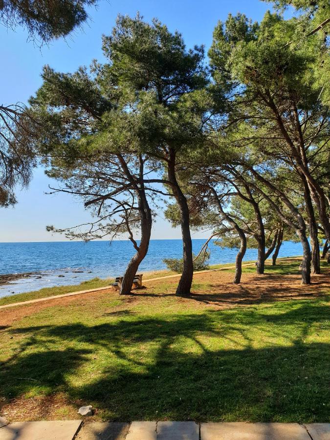 Family Bungalow Pineta Novigrad Istria Exterior foto
