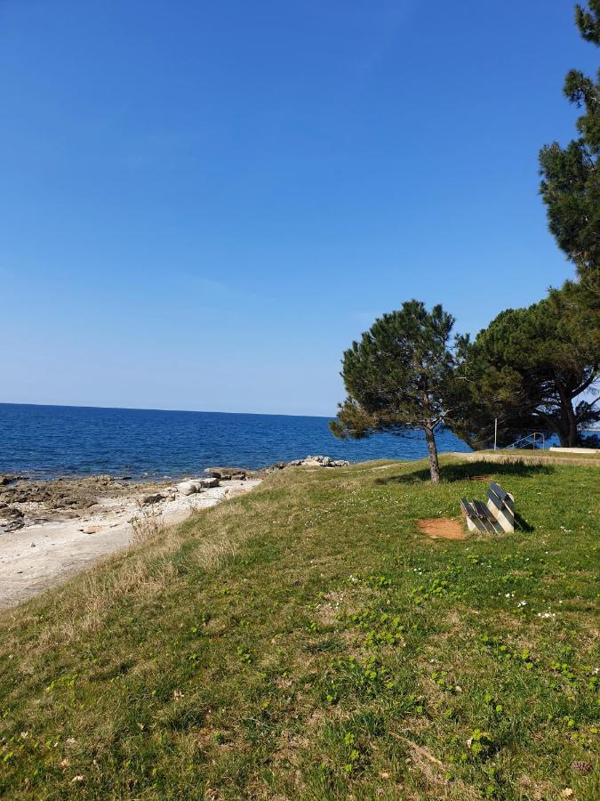 Family Bungalow Pineta Novigrad Istria Exterior foto