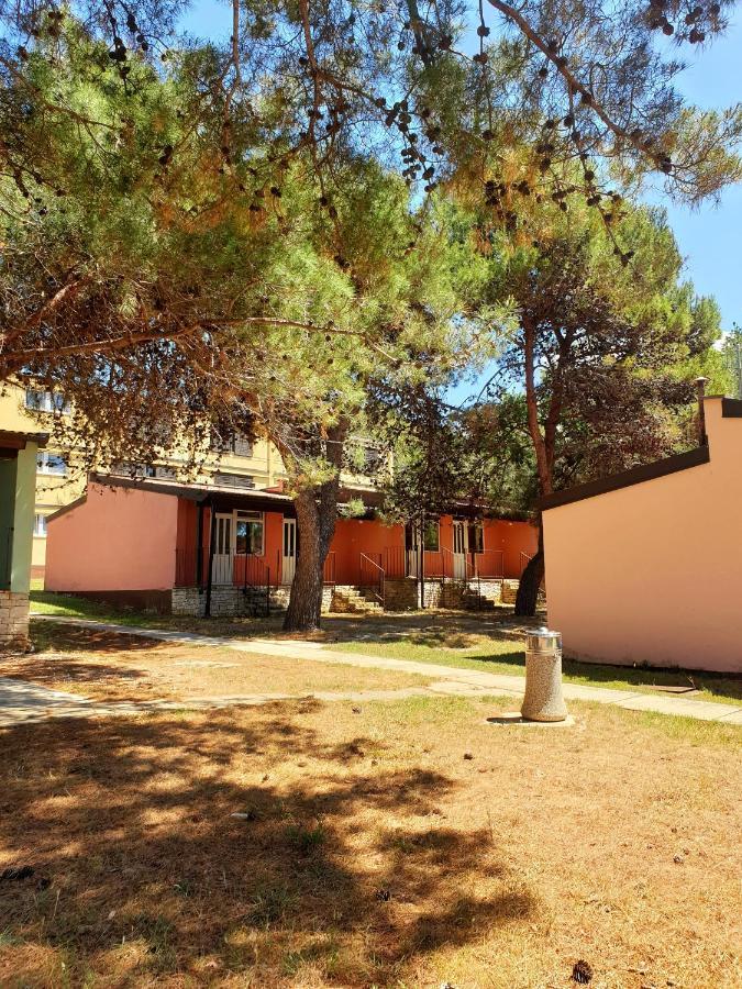 Family Bungalow Pineta Novigrad Istria Exterior foto