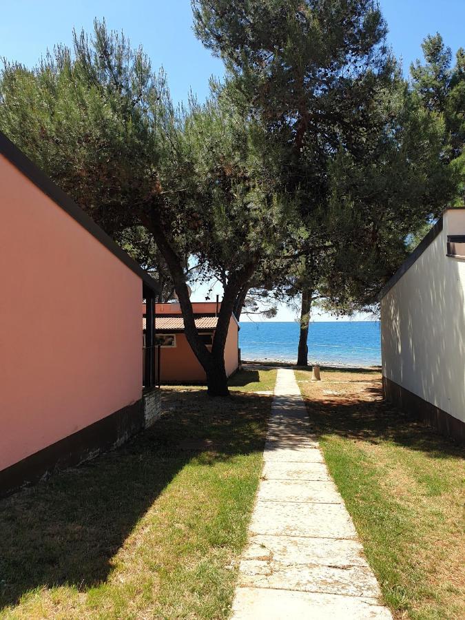 Family Bungalow Pineta Novigrad Istria Exterior foto